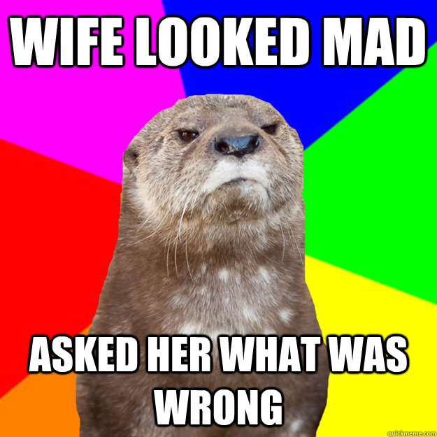 wife looked mad asked her what was wrong - wife looked mad asked her what was wrong  Otter Know Better