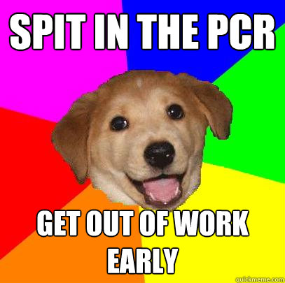 Spit in the PCR Get out of work early  Advice Dog