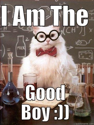 I AM THE  GOOD BOY :)) Chemistry Cat