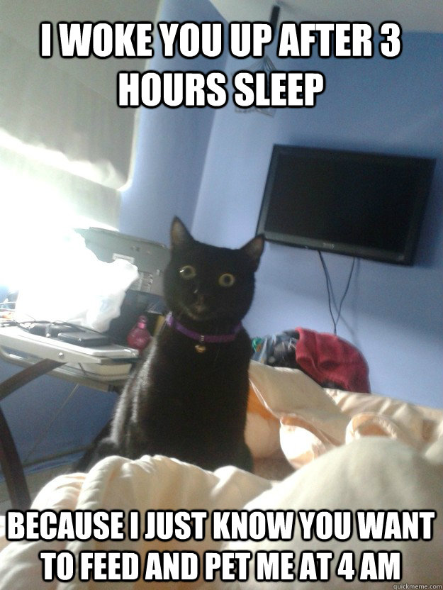 I woke you up after 3 hours sleep Because I just know you want to feed and pet me at 4 AM  overly attached cat