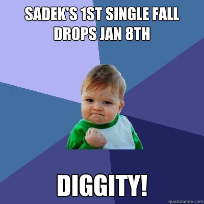 Sadek's 1st single Fall Drops Jan 8th DIGGITY!  Success Kid