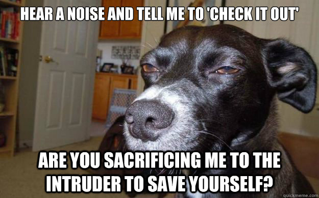 Hear a noise and tell me to 'check it out' are you sacrificing me to the intruder to save yourself?  Skeptical Mutt