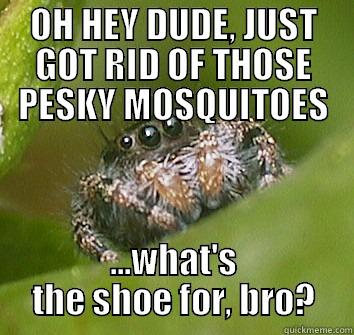 OH HEY DUDE, JUST GOT RID OF THOSE PESKY MOSQUITOES ...WHAT'S THE SHOE FOR, BRO? Misunderstood Spider