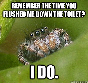 Remember the time you flushed me down the toilet? I do.  Misunderstood Spider