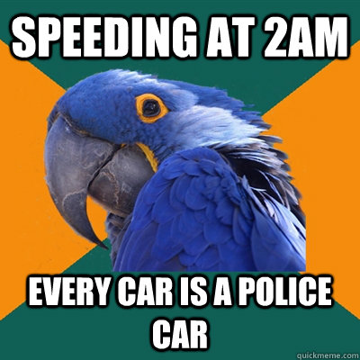 Speeding at 2AM Every car is a police car - Speeding at 2AM Every car is a police car  Paranoid Parrot