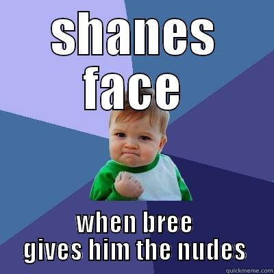 SHANES FACE WHEN BREE GIVES HIM THE NUDES Success Kid