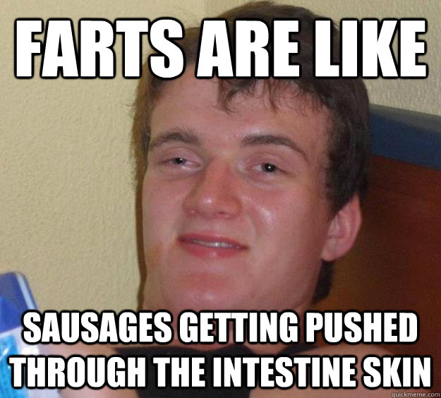 farts are like  sausages getting pushed through the intestine skin - farts are like  sausages getting pushed through the intestine skin  10 Guy