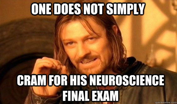 One does not simply cram for his neuroscience final exam - One does not simply cram for his neuroscience final exam  Boromirmod