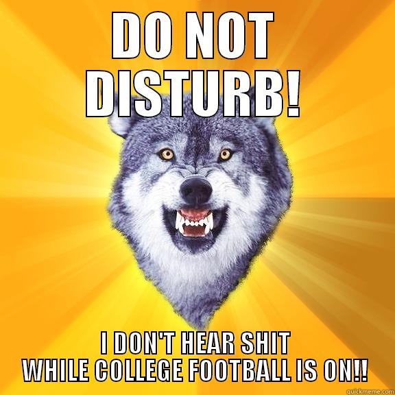 DO NOT DISTURB! I DON'T HEAR SHIT WHILE COLLEGE FOOTBALL IS ON!! Courage Wolf