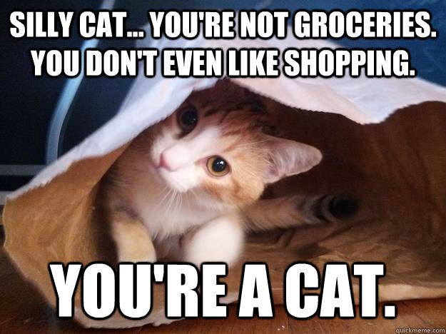 Silly CAT... you're not groceries. You don't even like shopping. you're a cat.  - Silly CAT... you're not groceries. You don't even like shopping. you're a cat.   Misc