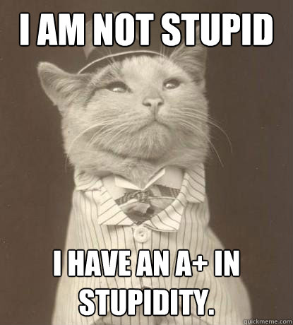 I am not stupid edward. i have an a+ in stupidity.  Aristocat