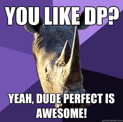 You like DP? YEAH, dude perfect is awesome!  Sexually Oblivious Rhino