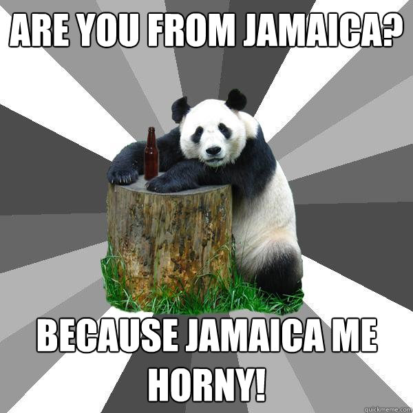 ARE YOU FROM JAMAICA? BECAUSE JAMAICA ME HORNY!  Pickup-Line Panda