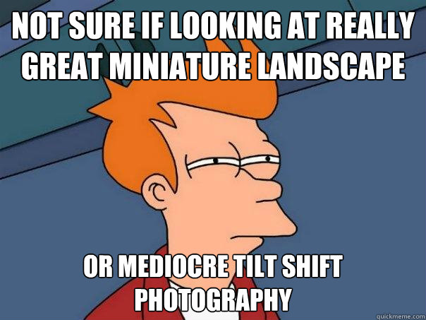 Not sure if looking at really great miniature landscape or mediocre tilt shift photography  Futurama Fry