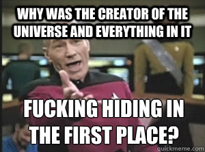 WHY WAS THE CREATOR OF THE UNIVERSE AND EVERYTHING IN IT FUCKING HIDING IN THE FIRST PLACE?  Annoyed Picard