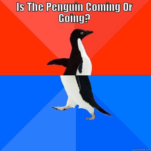 IS THE PENGUIN COMING OR GOING?  Socially Awesome Awkward Penguin