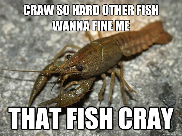 CRAW SO HARD other fish wanna fine me  that fish cray  that fish cray