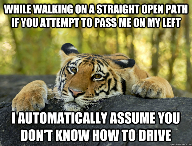 while walking on a straight open path If you Attempt to Pass me on my left  I automatically assume you don't know how to drive  Confession Tiger