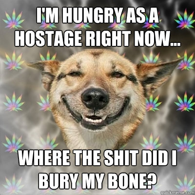 I'm hungry as a hostage right now... where the shit did i bury my bone?  Stoner Dog