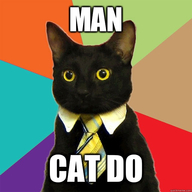 Man Cat do  Business Cat