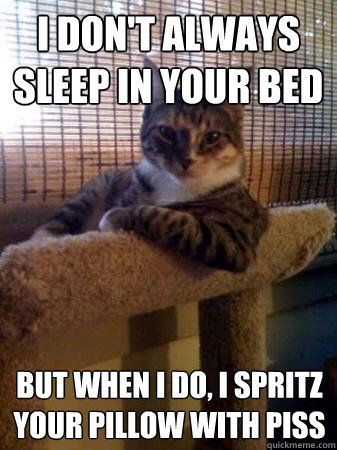 I don't always sleep in your bed but when I do, I spritz your pillow with piss  The Most Interesting Cat in the World