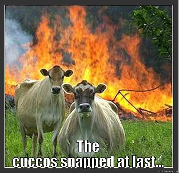 Lon-Lon Anarchy -  THE CUCCOS SNAPPED AT LAST... Evil cows