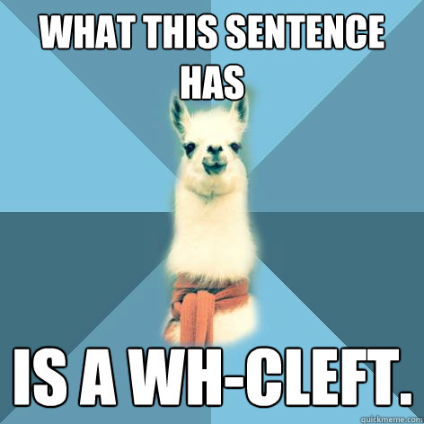 What this sentence has is a wh-cleft.  Linguist Llama