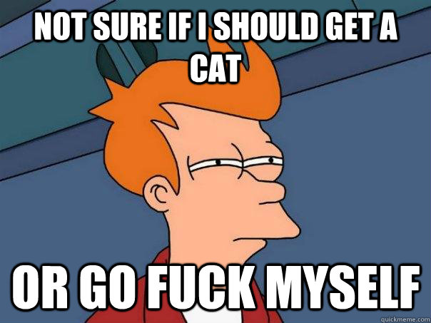 not sure if i should get a cat or go fuck myself  Futurama Fry