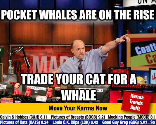 Pocket whales are on the rise Trade your cat for a whale  Mad Karma with Jim Cramer