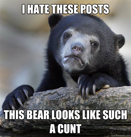 I hate these posts This bear looks like such a cunt - I hate these posts This bear looks like such a cunt  Confession Bear