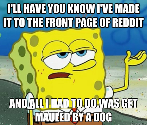 I'll have you know I've made it to the front page of reddit And all I had to do was get mauled by a dog  Tough Spongebob