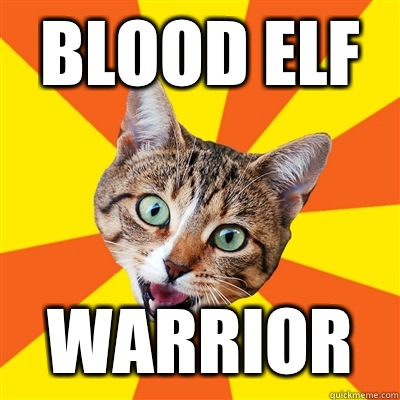 Blood elf Warrior  Bad Advice Cat