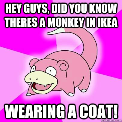 hey guys, did you know theres a monkey in ikea wearing a coat!  Slowpoke