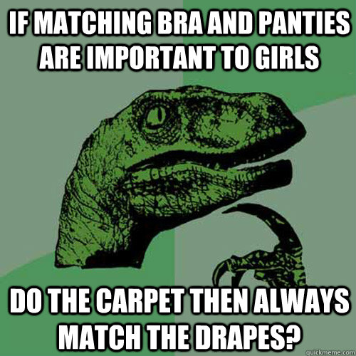 If matching bra and panties are important to girls do the carpet then always match the drapes? - If matching bra and panties are important to girls do the carpet then always match the drapes?  Philosoraptor