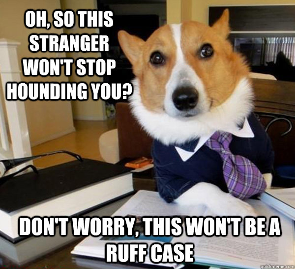 Oh, so this stranger won't stop hounding you? Don't worry, this won't be a ruff case  Lawyer Dog