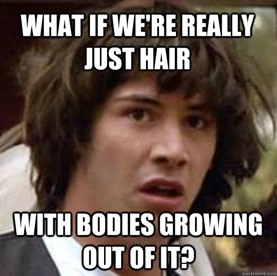 What if we're really just hair with bodies growing out of it?  conspiracy keanu