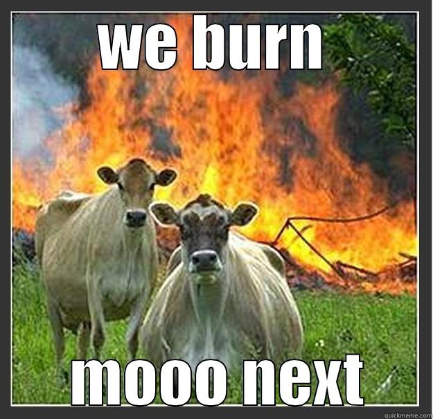 WE BURN  MOOO NEXT Evil cows