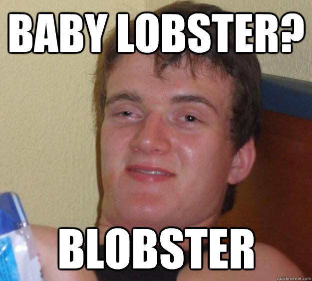 Baby lobster? Blobster  10 Guy