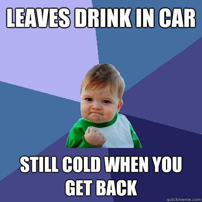 Leaves drink in car still cold when you get back - Leaves drink in car still cold when you get back  Success Kid