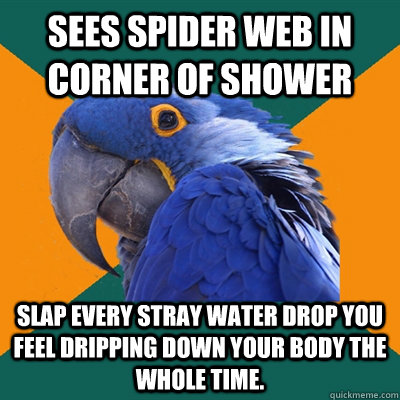 sees spider web in corner of shower SLAP EVERY STRAY WATER DROP YOU FEEL DRIPPING DOWN YOUR BODY THE WHOLE TIME. - sees spider web in corner of shower SLAP EVERY STRAY WATER DROP YOU FEEL DRIPPING DOWN YOUR BODY THE WHOLE TIME.  Paranoid Parrot