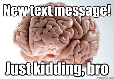 New text message! Just kidding, bro  Scumbag Brain