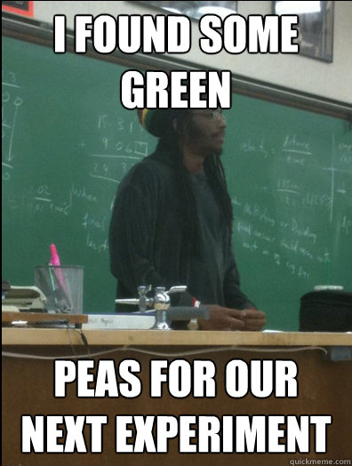 I found some green peas for our next experiment  Rasta Science Teacher