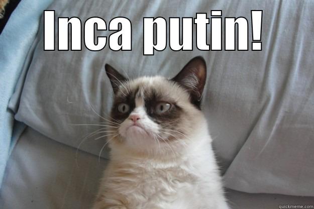 ce pula mea - INCA PUTIN!  Grumpy Cat