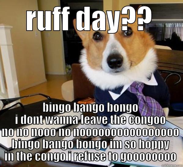 RUFF DAY?? BINGO BANGO BONGO I DONT WANNA LEAVE THE CONGOO NO NO NOOO NO NOOOOOOOOOOOOOOOO BINGO BANGO BONGO IM SO HOPPY IN THE CONGO I REFUSE TO GOOOOOOOO Lawyer Dog