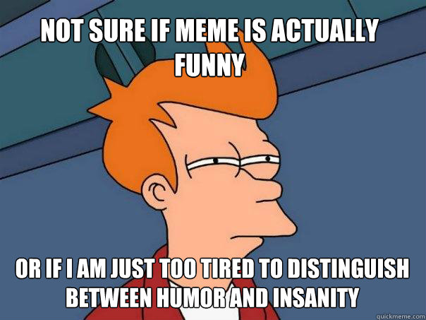 Not sure if meme is actually funny Or if I am just too tired to distinguish between humor and insanity  Futurama Fry