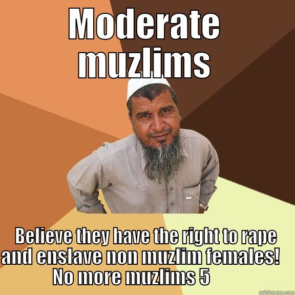 MODERATE MUZLIMS BELIEVE THEY HAVE THE RIGHT TO RAPE AND ENSLAVE NON MUZLIM FEMALES!                  NO MORE MUZLIMS 5                       Ordinary Muslim Man