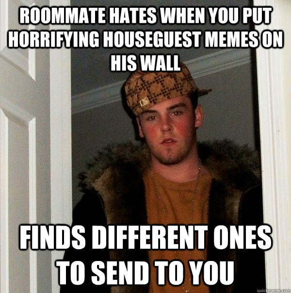 roommate hates when you put horrifying houseguest memes on his wall finds different ones to send to you - roommate hates when you put horrifying houseguest memes on his wall finds different ones to send to you  Scumbag Steve
