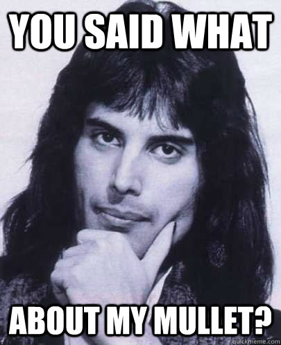 you said what  about my mullet?  Good Guy Freddie Mercury