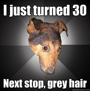 I just turned 30 Next stop, grey hair  Depression Dog