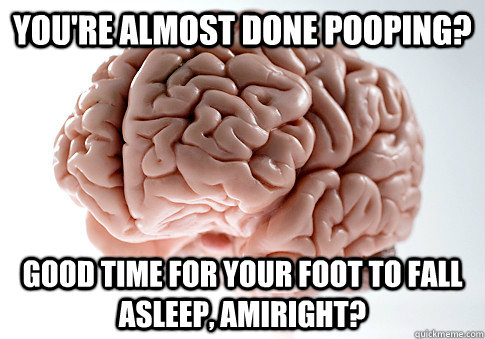 YOU'RE ALMOST DONE POOPING? GOOD TIME FOR YOUR FOOT TO FALL ASLEEP, AMIRIGHT? - YOU'RE ALMOST DONE POOPING? GOOD TIME FOR YOUR FOOT TO FALL ASLEEP, AMIRIGHT?  Scumbag Brain